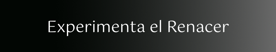 Botón